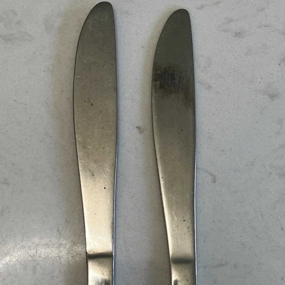 UTICA Stainless Steel Flatware Cameo Rose Oval Butter Knife USA 2